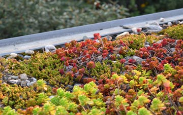 the cost of Llandaff North green roof installation
