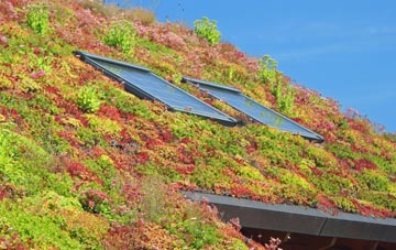 Llandaff North living roof systems