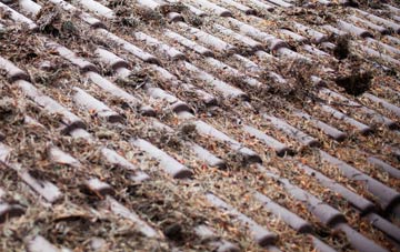 Llandaff North roof cleaning companies