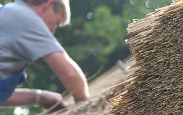 professional Llandaff North thatchers