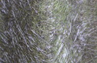 Llandaff North fibreglass roof work